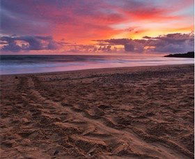 Mon Repos Beach - South Australia Travel 0