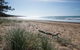 Mon Repos Beach - thumb 2
