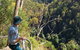 Lyrebird Falls Walking Track - thumb 1