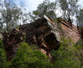 Mitchell River Walking Track - South Australia Travel 2