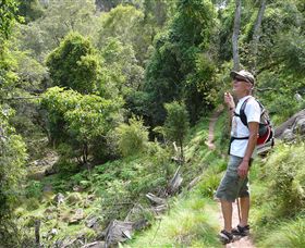 Mitchell River Walking Track - South Australia Travel 1