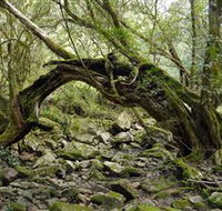Mitchell River National Park - South Australia Travel