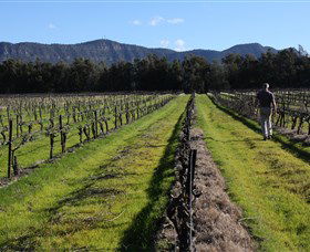 Around Hermitage Wine And Food Trail Hunter Valley - South Australia Travel 1