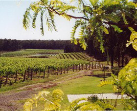 Tintilla Estate - South Australia Travel 0
