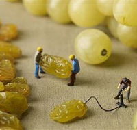 Hunter Valley Wine School - South Australia Travel