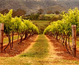 Hunter Valley Wine School - South Australia Travel 1