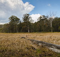 Mummel Gulf National Park - South Australia Travel