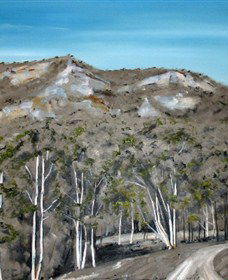 Greg Wilson Gallery - South Australia Travel 2