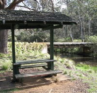 Barrington Tops State Forest - South Australia Travel