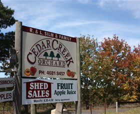 Cedar Creek Orchard - South Australia Travel 0