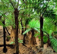 Pegarah Private Nature Reserve  Parenna Place - South Australia Travel
