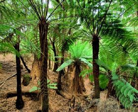 Pegarah Private Nature Reserve & Parenna Place - South Australia Travel 0