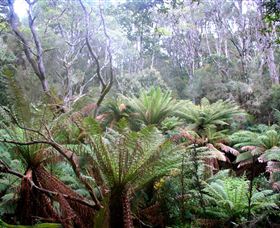 Pegarah Private Nature Reserve & Parenna Place - South Australia Travel 1