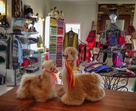 Australian Alpaca Barn - Hunter Valley Gardens - South Australia Travel 2
