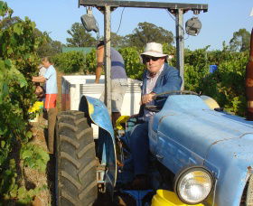 Pokolbin Brothers Wines Hunter Valley - South Australia Travel 1