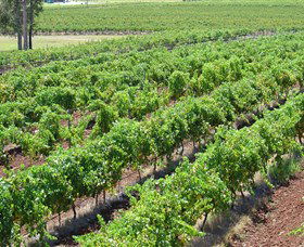 Pokolbin Brothers Wines Hunter Valley - South Australia Travel 0