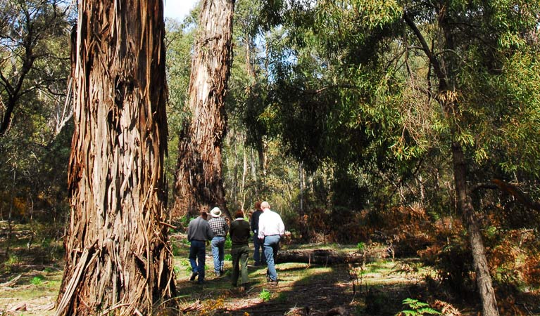 Bulee NSW South Australia Travel