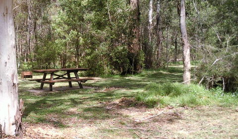 Tallaganda National Park - South Australia Travel 1