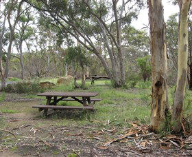 Box Vale Picnic Area - South Australia Travel 2
