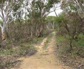 Box Vale Picnic Area - South Australia Travel 4