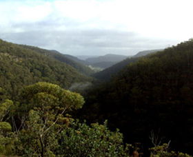 Nattai Gorge Lookout - South Australia Travel 0
