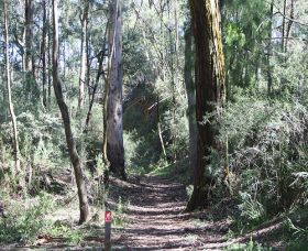 Box Vale Mine Walking Track And Lookout - South Australia Travel 0