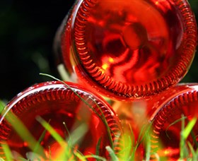 Saddlers Creek Wines - South Australia Travel 2