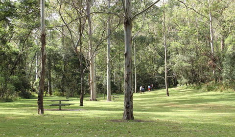 Mill Creek Picnic Area - South Australia Travel 3