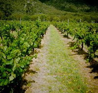 Gartelmann Wines - South Australia Travel