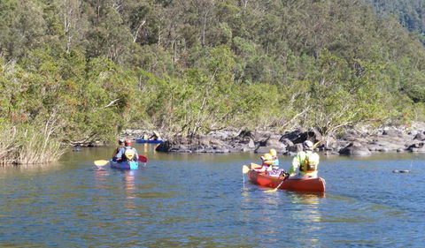 Nymboida National Park - South Australia Travel 1