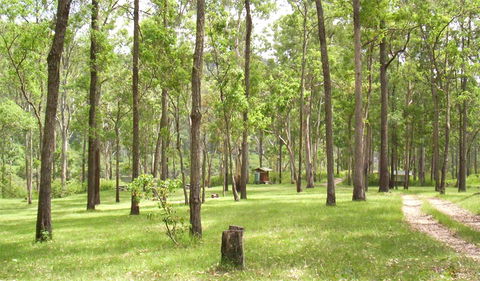 Nymboida National Park - South Australia Travel 2