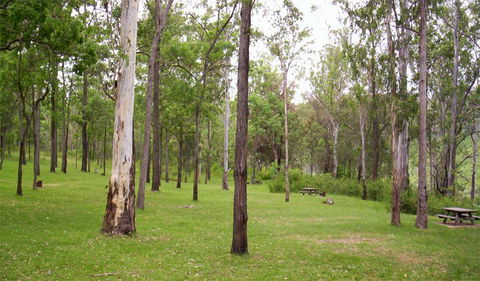 Nymboida National Park - South Australia Travel 3