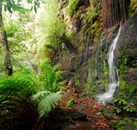 Fairy Bower Falls - South Australia Travel