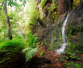 Fairy Bower Falls - South Australia Travel 0