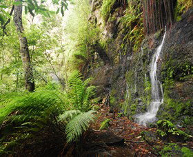 Fairy Bower Falls - South Australia Travel 2