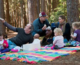 State Forests Of The Watagan Mountains - South Australia Travel 0