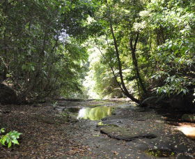 State Forests Of The Watagan Mountains - South Australia Travel 1