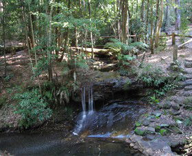 State Forests Of The Watagan Mountains - South Australia Travel 3