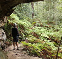 Dharug National Park - South Australia Travel
