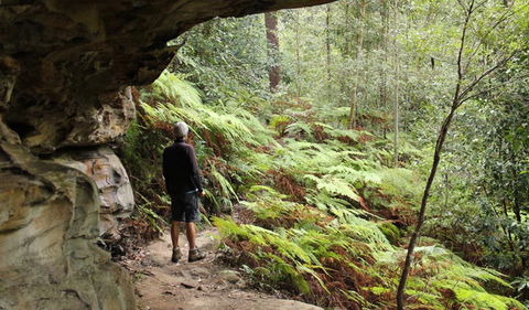 Dharug National Park - South Australia Travel 0