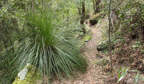 Dharug National Park - South Australia Travel 2