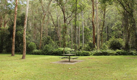 Dharug National Park - South Australia Travel 3