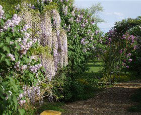 Back O The Moon - South Australia Travel 3