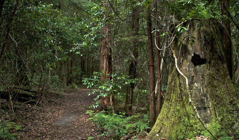 Jerusalem Creek Trail - South Australia Travel 1