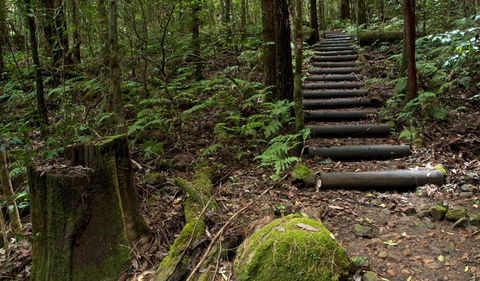 Jerusalem Creek Trail - South Australia Travel 2