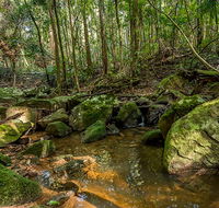 Palm Grove Nature Reserve - South Australia Travel