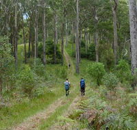 The Green Gully track - South Australia Travel