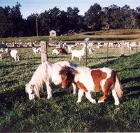Trudgalong Farm - South Australia Travel