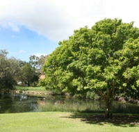 Hervey Bay Botanic Gardens - South Australia Travel