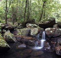 Kangaroo River - South Australia Travel